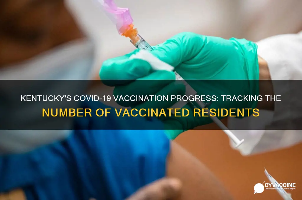 how many ky have been vaccinated