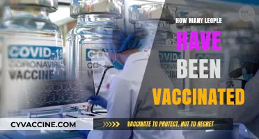 Global COVID-19 Vaccination Progress: Tracking the Number of Vaccinated People