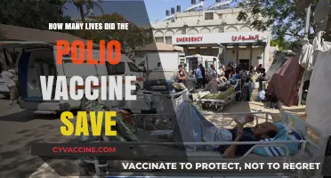 Polio Vaccine's Impact: Lives Saved and a World Transformed