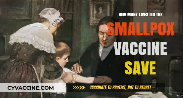 Smallpox Vaccine's Impact: Countless Lives Saved by Eradication Efforts