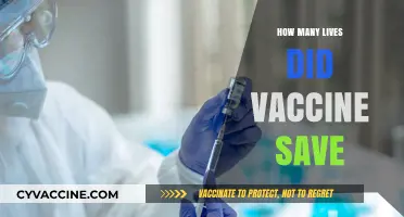 Vaccines: The Lifesaving Impact on Global Health and Mortality Reduction
