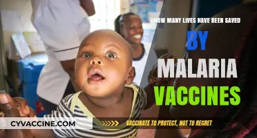 Malaria Vaccines: A Lifesaving Impact on Global Health