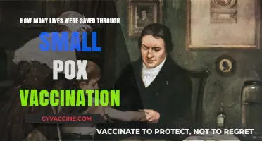 Smallpox Vaccination: A Lifesaving Legacy and Global Health Triumph