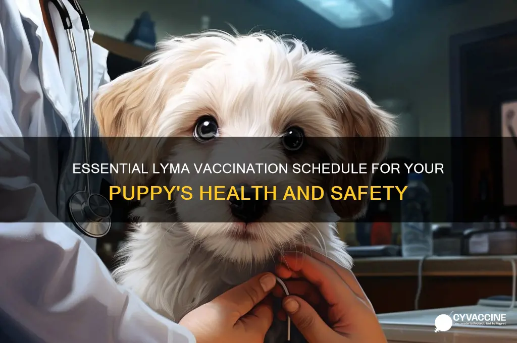 how many lyma vaccines for puppy