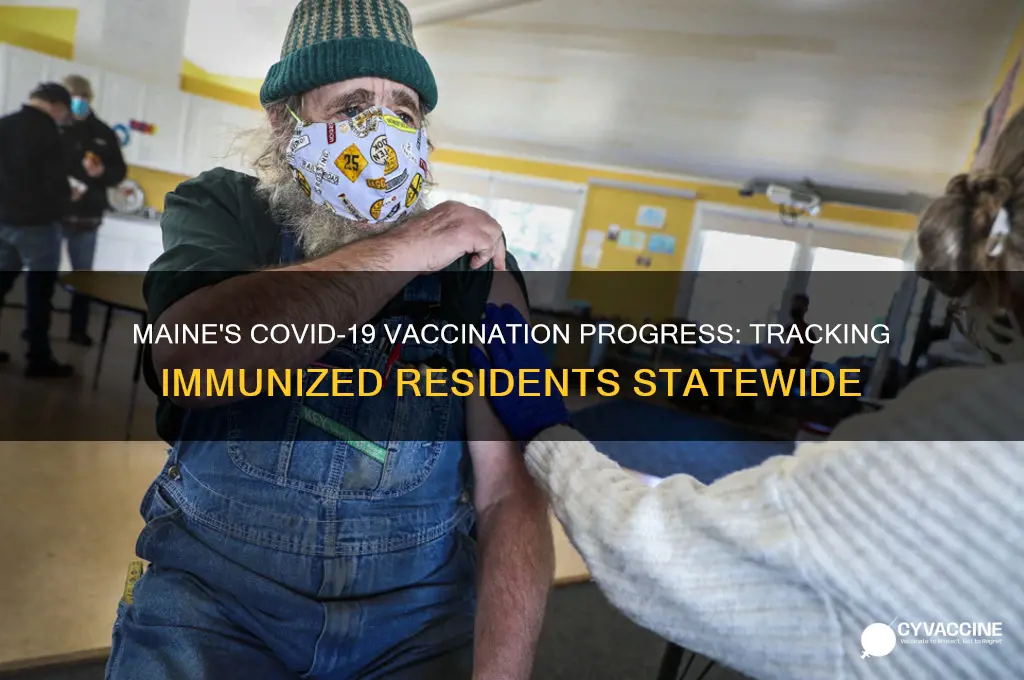 how many mainers have been vaccinated