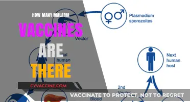 Exploring the Current Malaria Vaccines: Types, Availability, and Impact