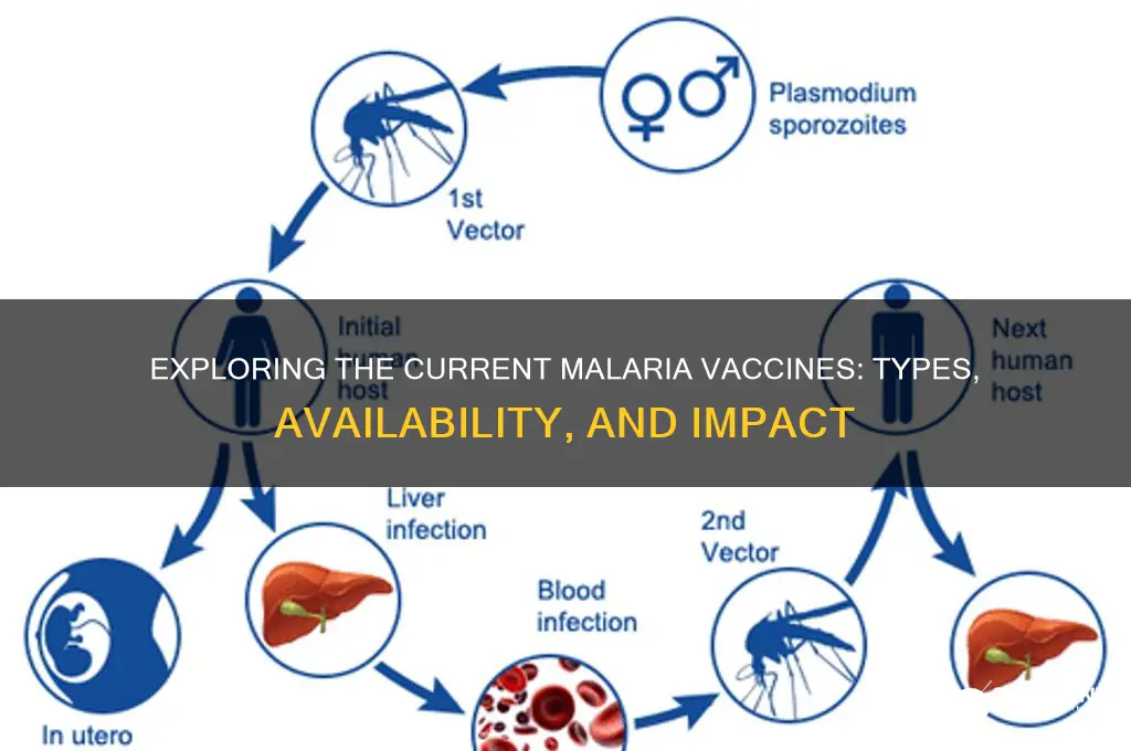 how many malaria vaccines are there