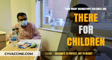 Essential Childhood Vaccines: Understanding Mandatory Immunizations for Kids