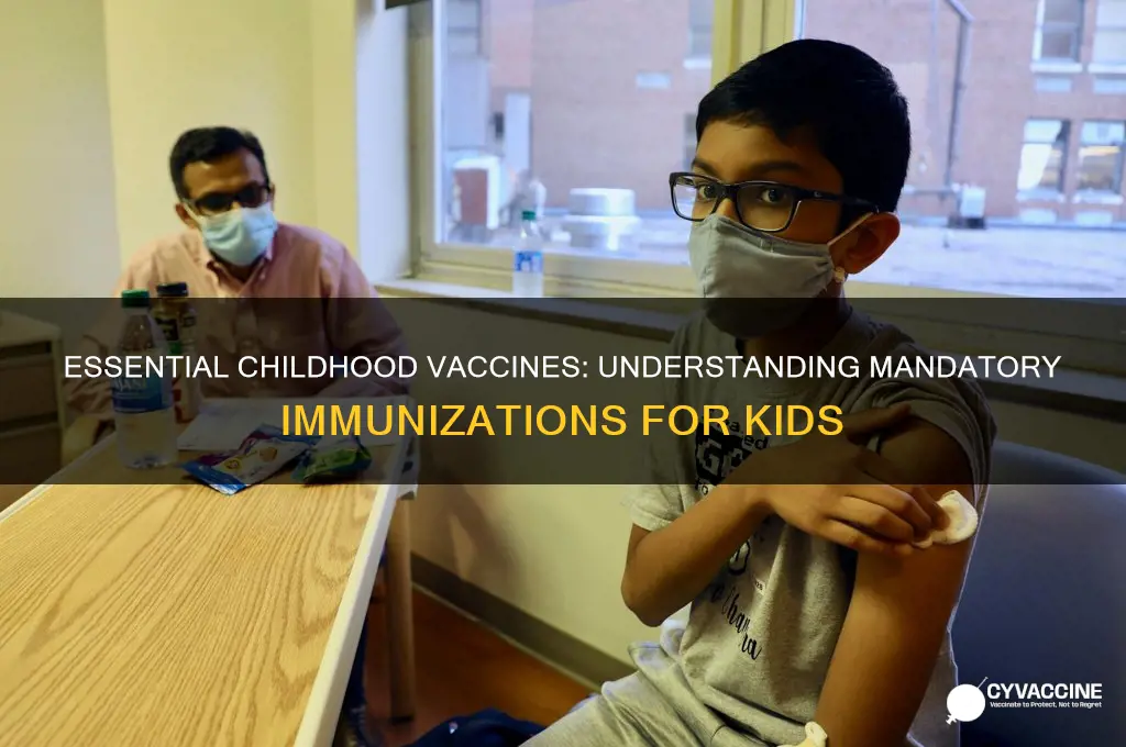 how many mandatory vaccines are there for children