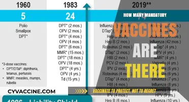 Understanding Mandatory Vaccines: A Comprehensive Guide to Required Immunizations