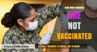 Unvaccinated Marines: Examining the Numbers and Implications for Military Readiness