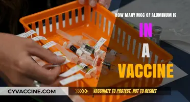 Aluminum in Vaccines: Understanding the Microgram Amounts and Safety