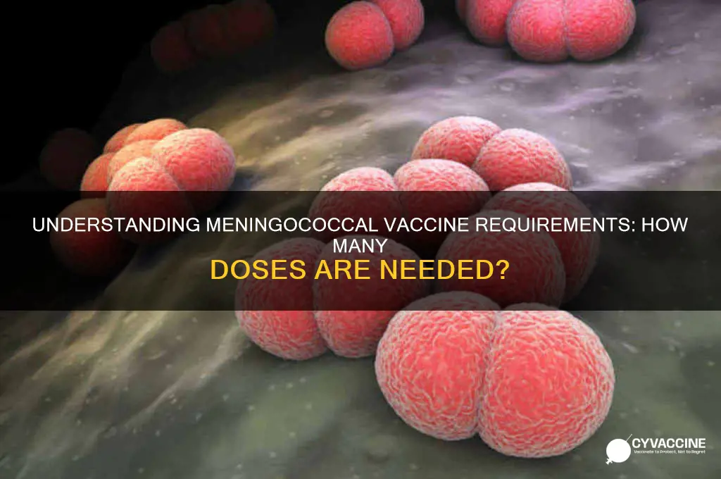 how many menigicoocal vaccines do you have to have