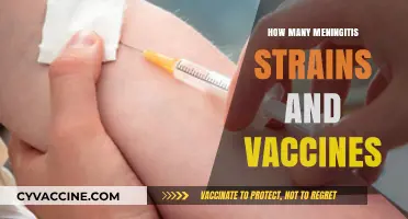 Understanding Meningitis Strains and Available Vaccines for Prevention
