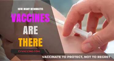 Understanding Meningitis Vaccines: Types, Availability, and Protection Options