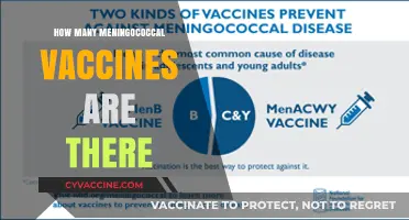 Understanding Meningococcal Vaccines: Types, Availability, and Protection Options