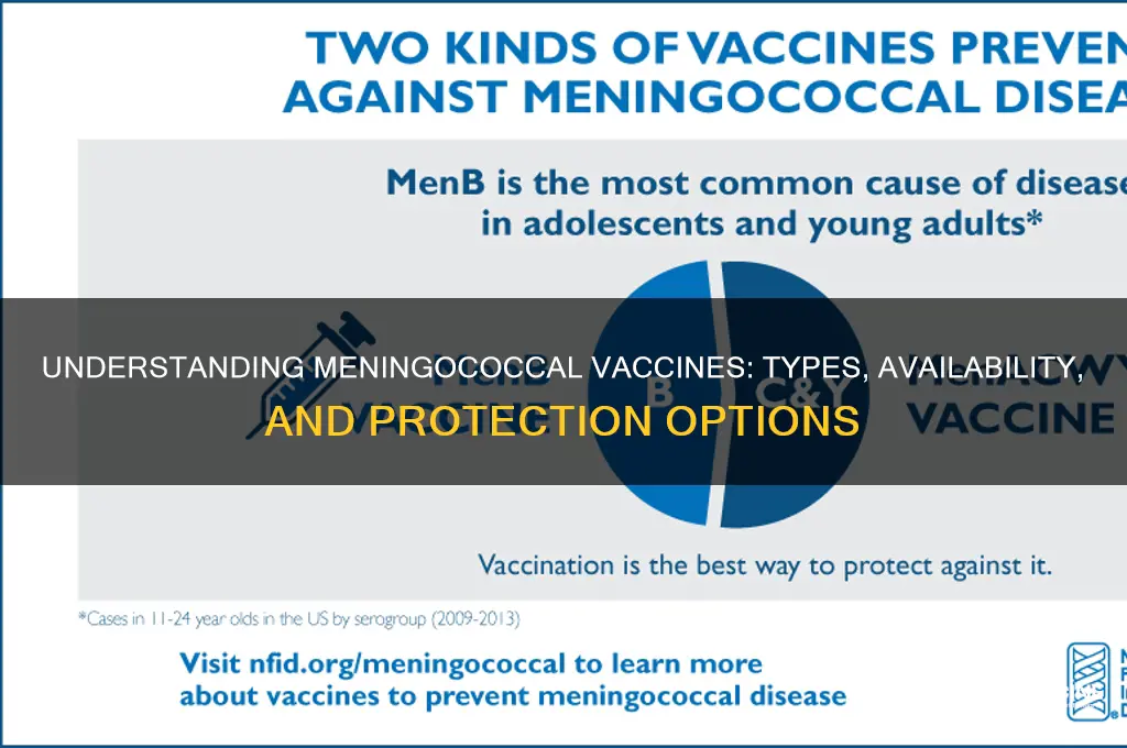 how many meningococcal vaccines are there