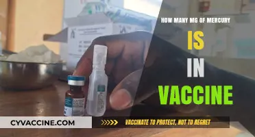Mercury in Vaccines: Understanding the Amount and Safety Concerns