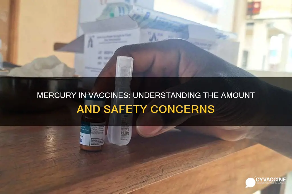 how many mg of mercury is in vaccine