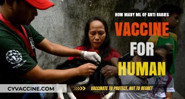 Understanding Anti-Rabies Vaccine Dosage: Essential ML Guide for Humans