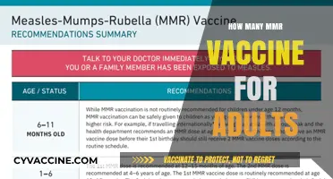 MMR Vaccine for Adults: Dosage, Schedule, and Protection