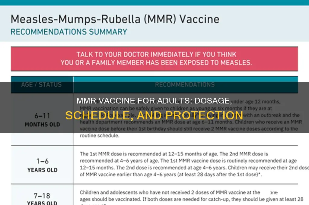 how many mmr vaccine for adults