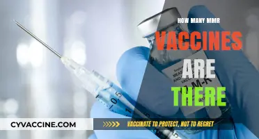 Understanding the Different Types of MMR Vaccines Available Today