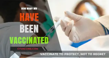 Minnesota's COVID-19 Vaccination Progress: How Many Have Received Shots?