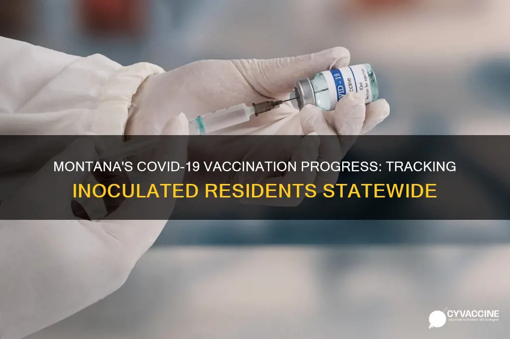how many montanans have been vaccinated