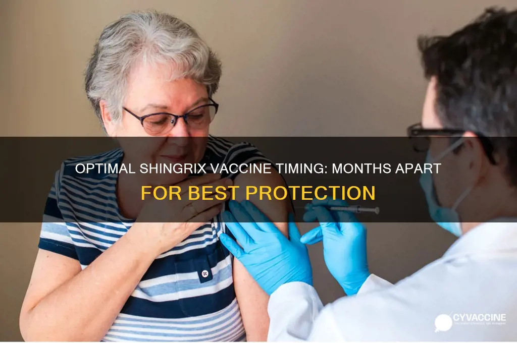 how many months apart should be shingrix vaccine