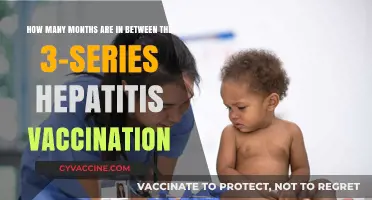 Hepatitis Vaccination Schedule: Months Between 3-Series Doses Explained