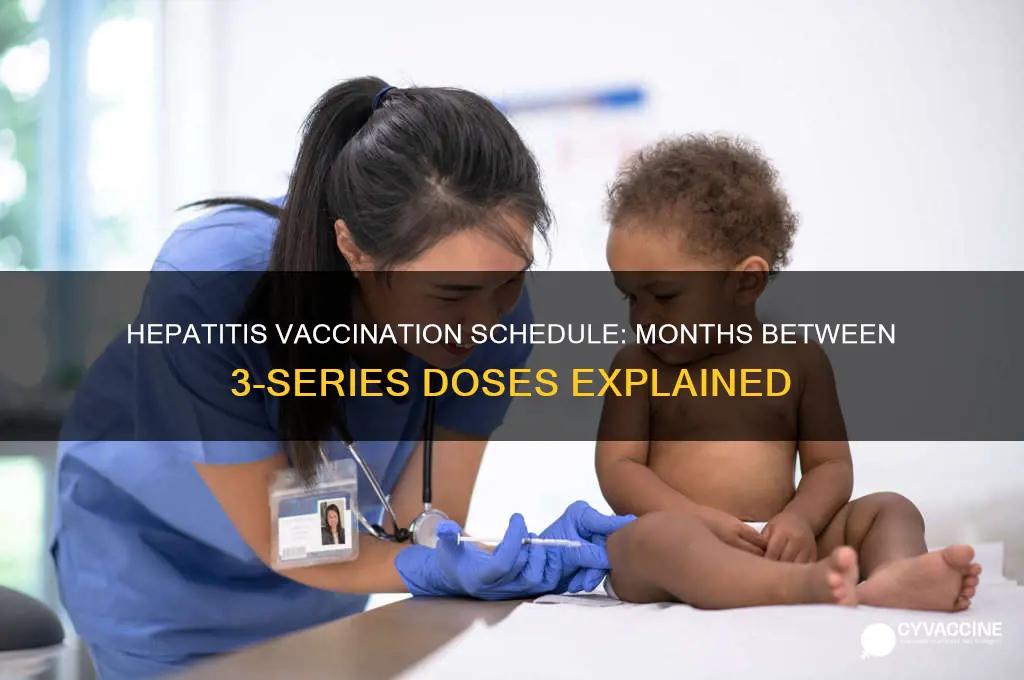 how many months are in between the 3-series hepatitis vaccination