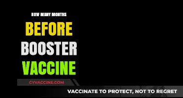 When to Get Your Booster Vaccine: Timing and Recommendations