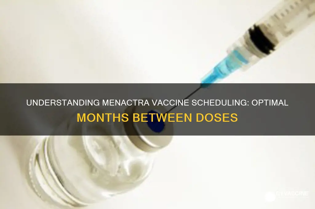 how many months between menactra vaccines