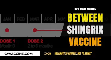 Shingrix Vaccine: Understanding the Optimal Months Between Doses