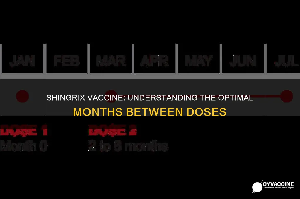 how many months between shingrix vaccine