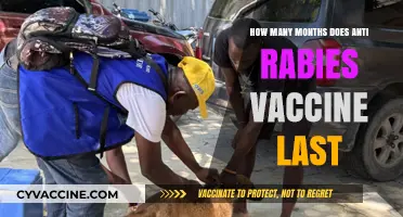 Understanding the Duration of Anti-Rabies Vaccine Protection