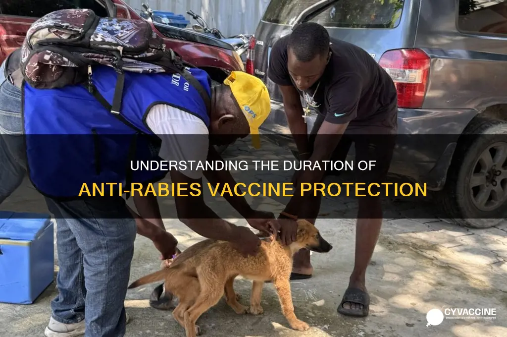 how many months does anti rabies vaccine last
