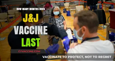 J&J Vaccine Duration: How Long Does Its Protection Last?
