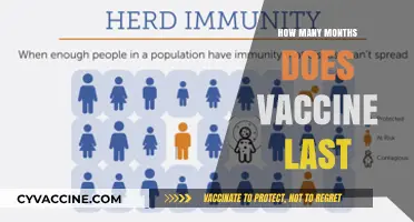 Understanding Vaccine Duration: How Long Does Immunity Typically Last?