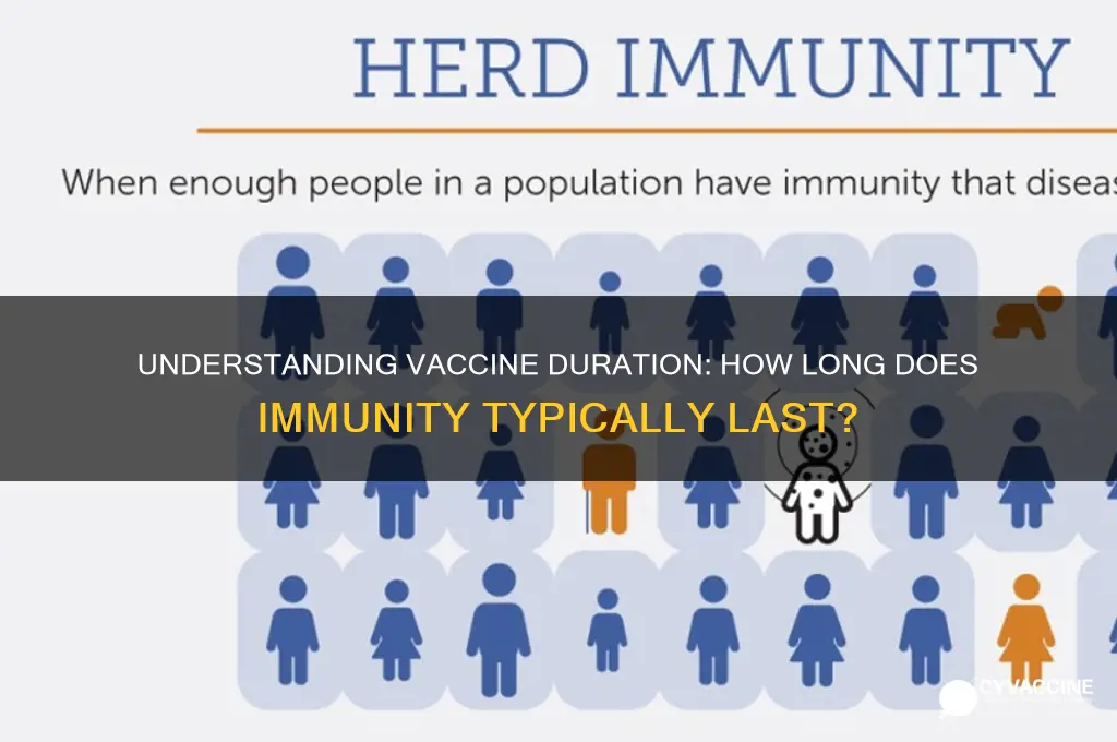 how many months does vaccine last