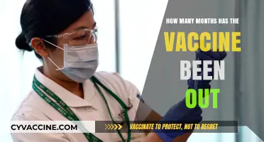 Tracking COVID-19 Vaccine Rollout: Months Since Global Distribution Began