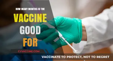 Vaccine Effectiveness Timeline: How Long Does Protection Last?