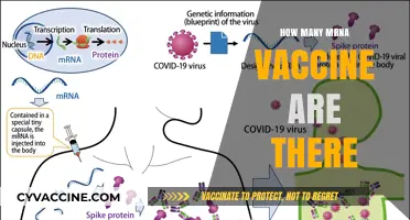 Exploring the Growing List of Available mRNA Vaccines Worldwide