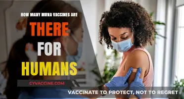 Exploring the Growing List of mRNA Vaccines for Human Use