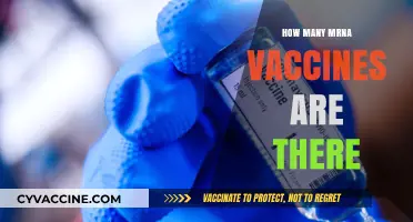 Exploring the Growing List of Available mRNA Vaccines Worldwide