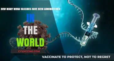 Global mRNA Vaccine Rollout: Tracking Worldwide Administration Numbers