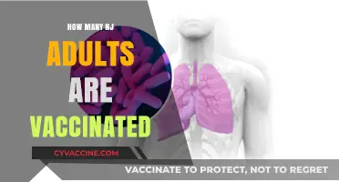 NJ Adult Vaccination Rates: Current Stats and Trends Revealed
