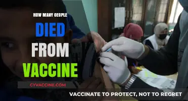 Vaccine-Related Deaths: Separating Facts from Misinformation and Myths