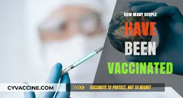 Global COVID-19 Vaccination Progress: Tracking Worldwide Inoculation Numbers